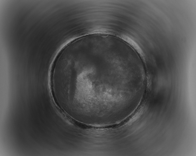 X0000094811043200711161503