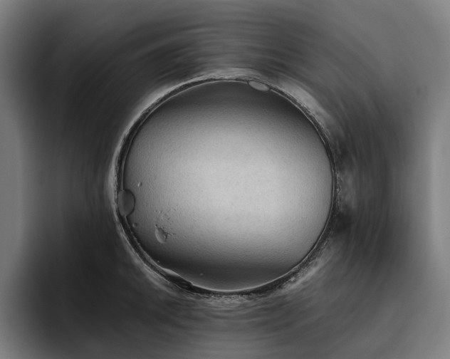 X0000094811046200711161503
