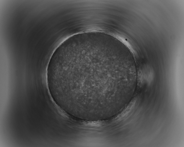 X0000094811047200711161503