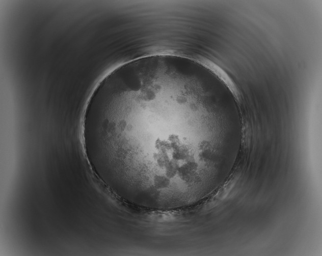X0000094811051200711161503