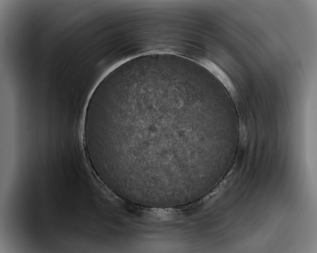 X0000094811052200711161503