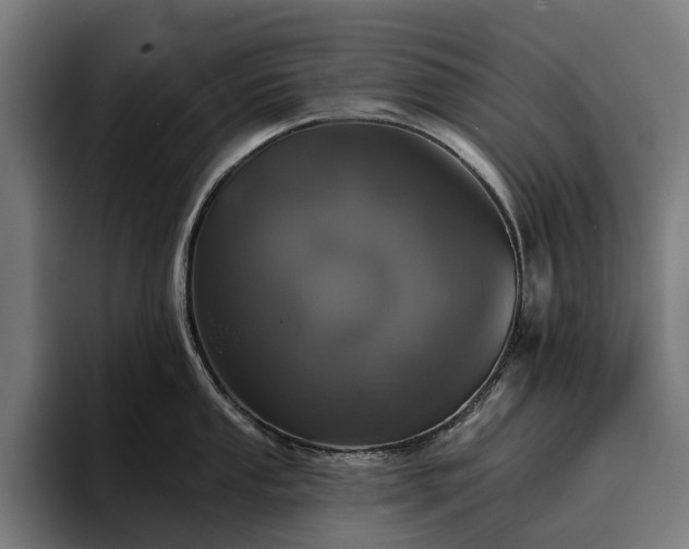 X0000094811053200711161503