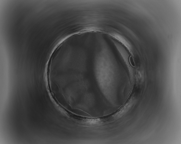 X0000094811055200711161503