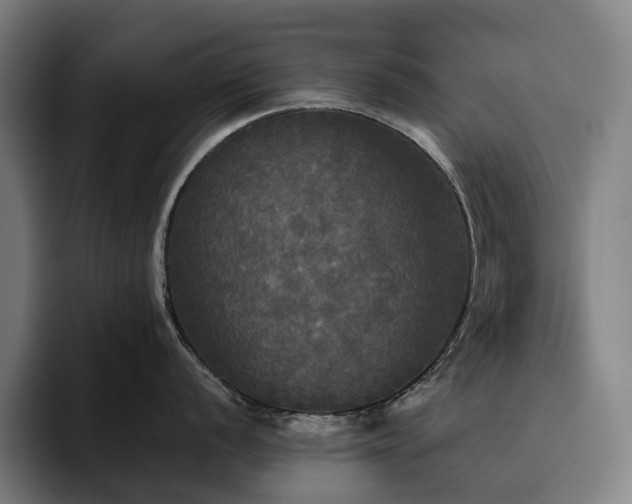 X0000094811056200711161503