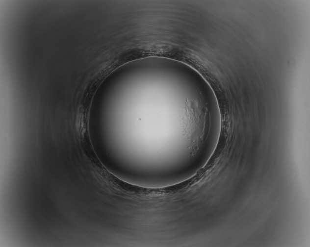 X0000094811058200711161503