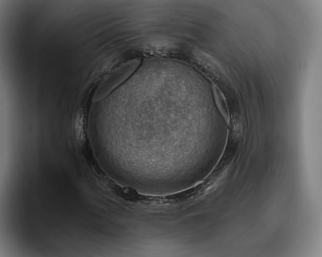 X0000094811060200711161503