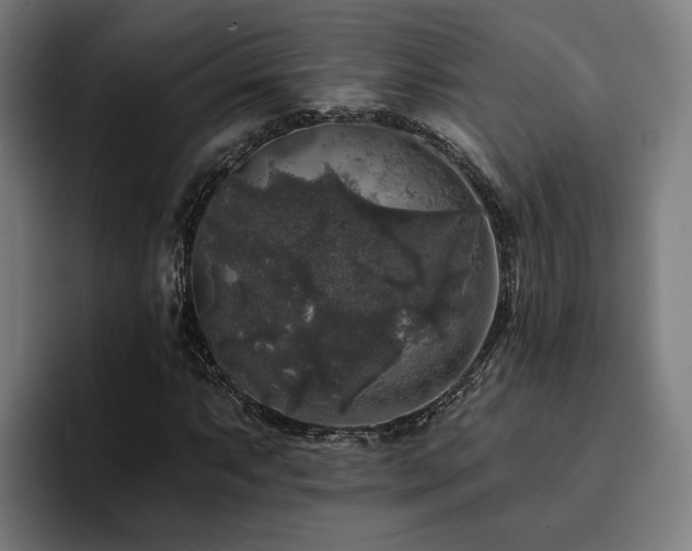 X0000094811063200711161503