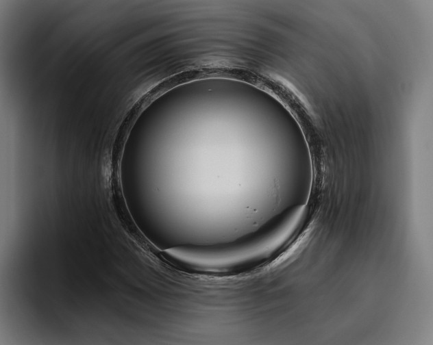 X0000094811065200711161503