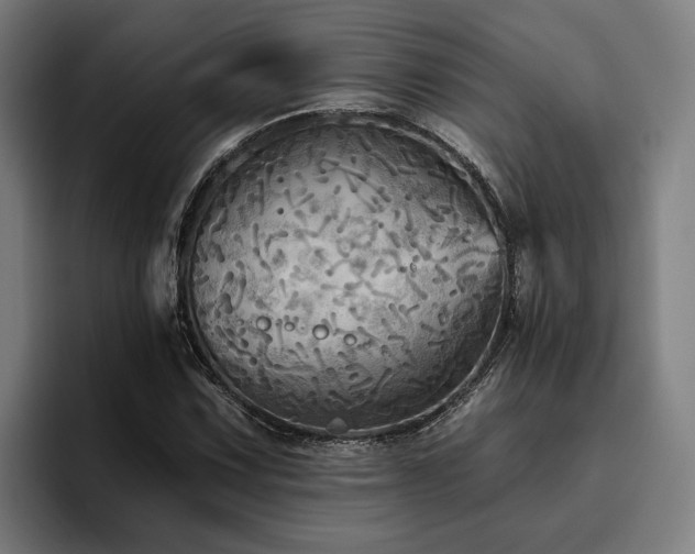 X0000094811067200711161503