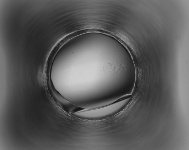 X0000094811068200711161503