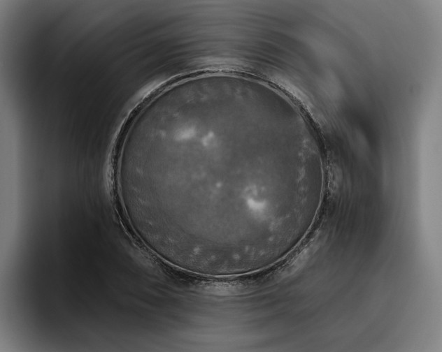 X0000094811074200711161503