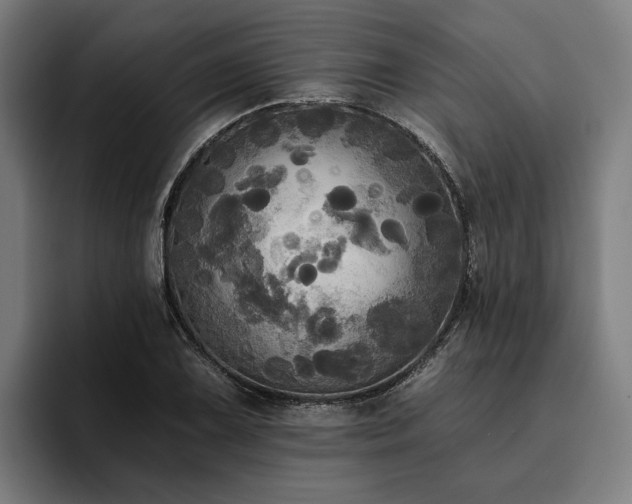 X0000094811075200711161503