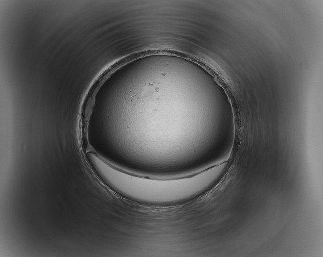 X0000094811076200711161503
