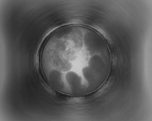 X0000094811078200711161503