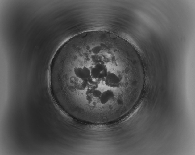 X0000094811079200711161502