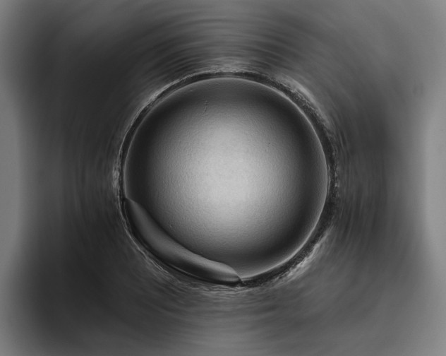 X0000094811081200711161502