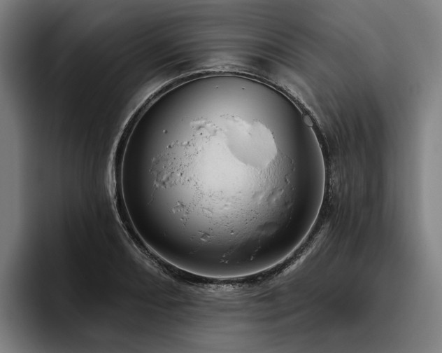 X0000094811082200711161502