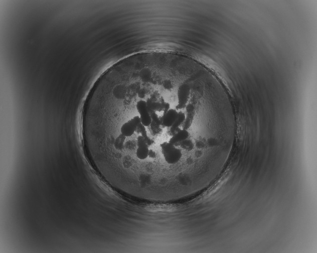 X0000094811083200711161502