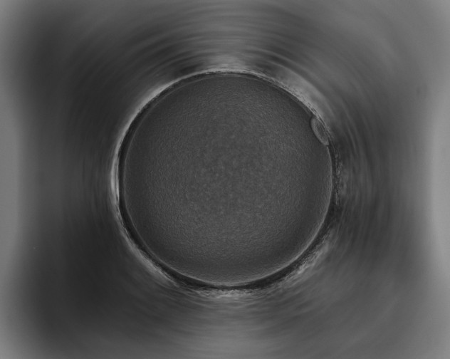 X0000094811084200711161502