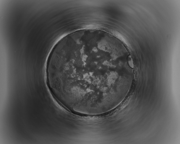 X0000094811087200711161502