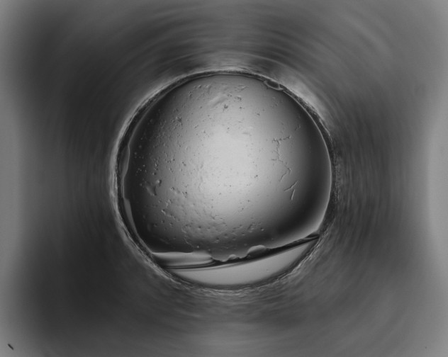 X0000094811088200711161502