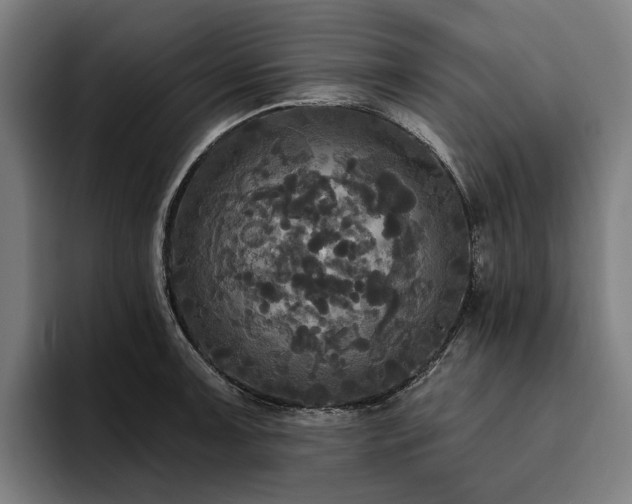 X0000094811091200711161502