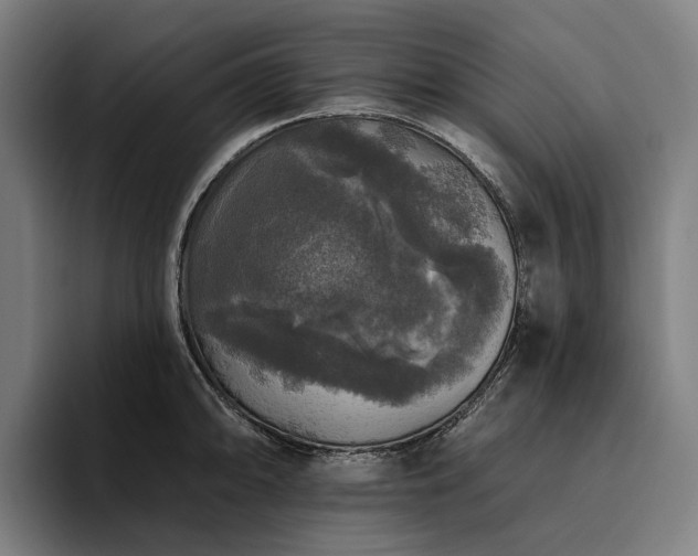X0000094811094200711161502