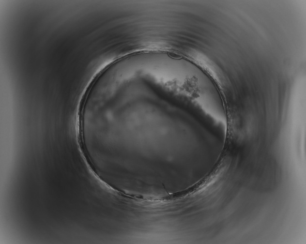 X0000094811095200711161502