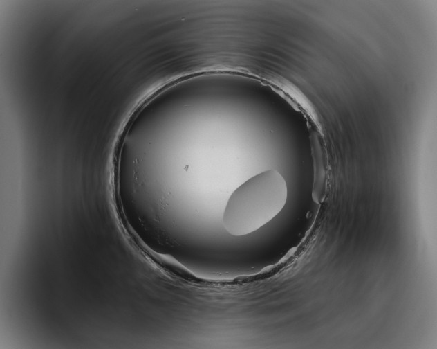 X0000094811096200711161502