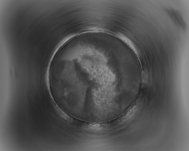 X0000094811098200711161502