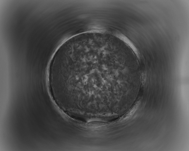 X0000094811099200711161502