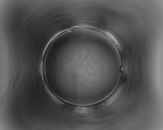 X0000094811100200711161502