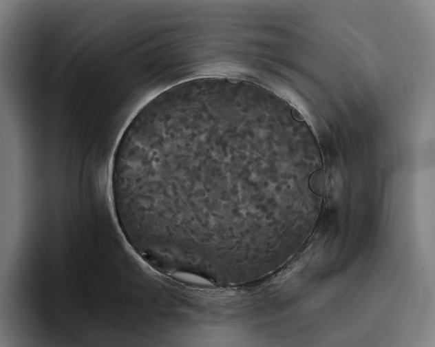 X0000094811103200711161502