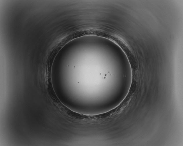X0000094811111200711161502