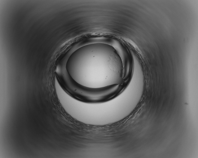 X0000094811112200711161502