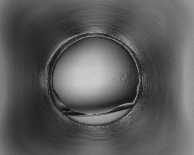 X0000094811116200711161502