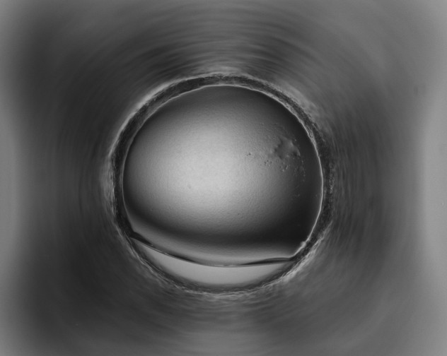 X0000094811118200711161502