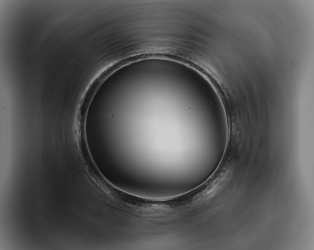 X0000094811119200711161502