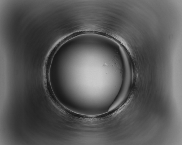 X0000094811120200711161502