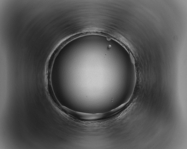 X0000094811124200711161502