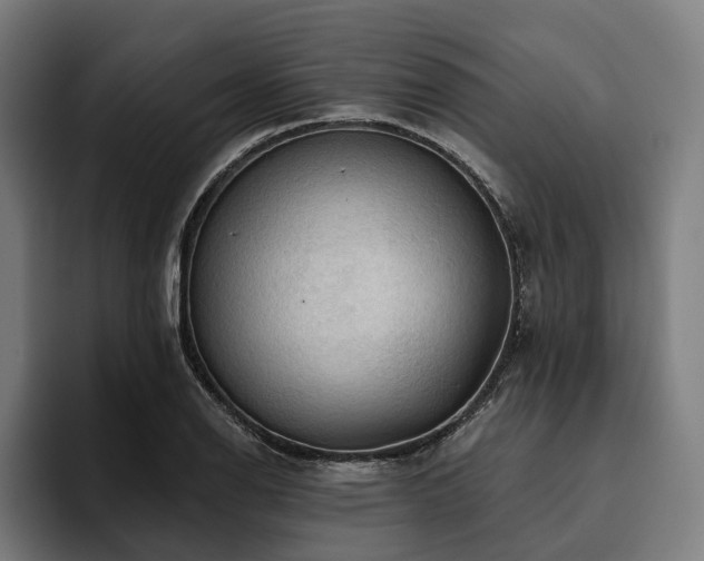 X0000094811126200711161502