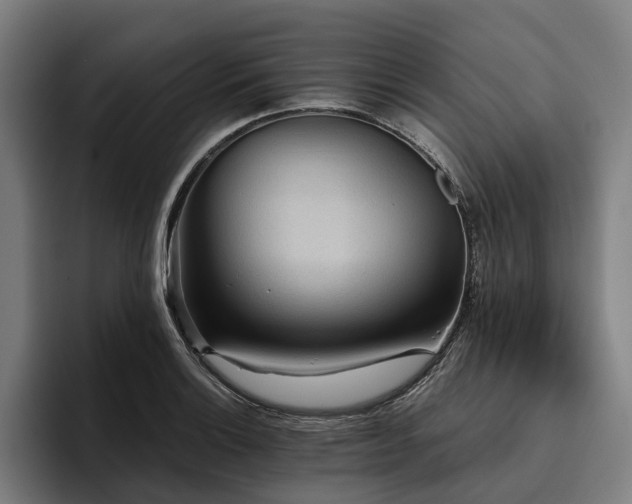 X0000094811132200711161502
