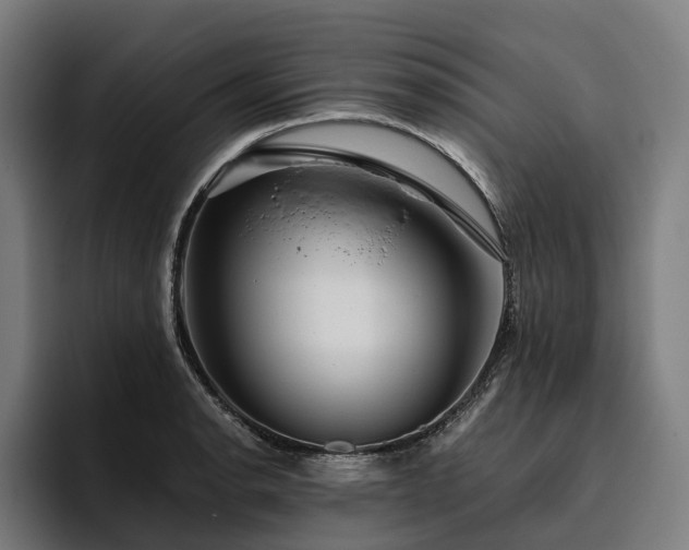 X0000094811134200711161502
