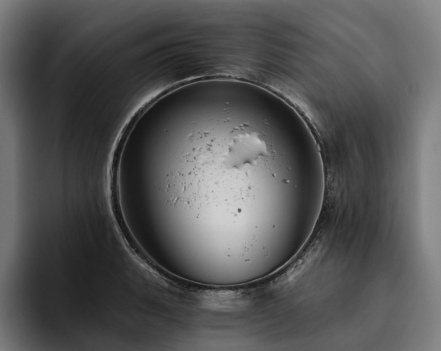X0000094811135200711161502