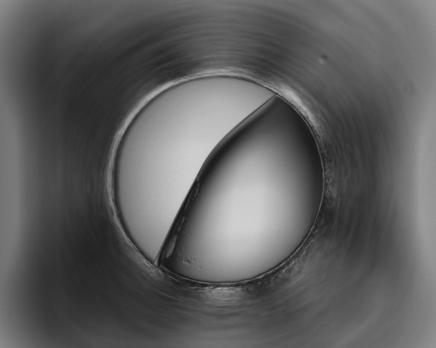 X0000094811140200711161502