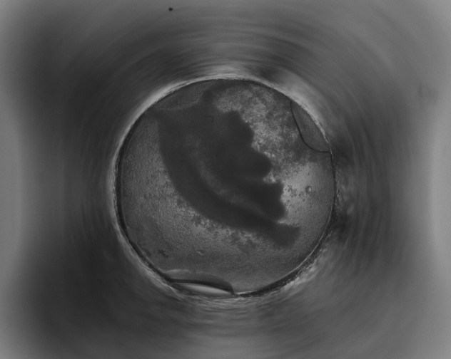X0000094811142200711161502