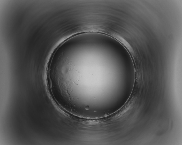 X0000094811144200711161502