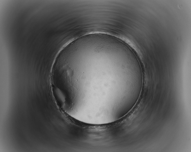 X0000094811145200711161502