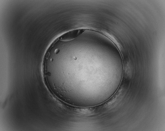 X0000094811149200711161502
