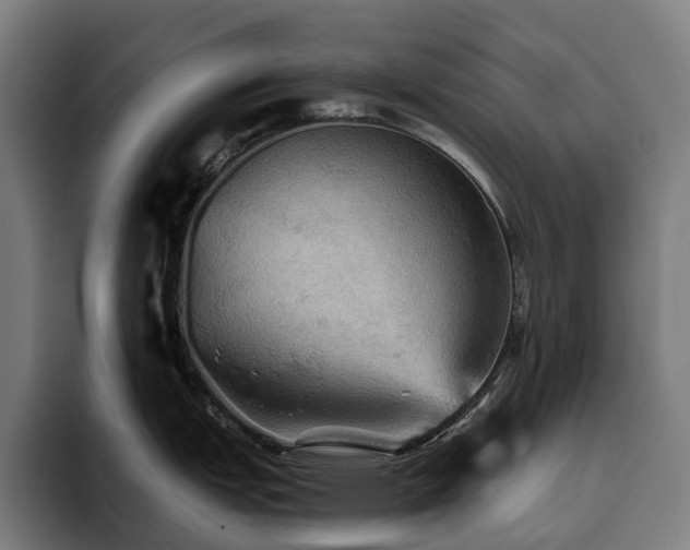 X0000094811151200711161502